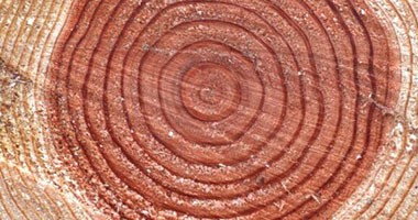 怎么鑒別整塊和拼接實(shí)木板材？