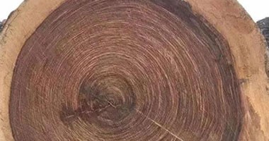 為什么說實(shí)木家具的色差是不可避免的？